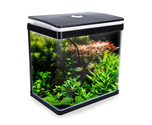 30L Fish Tank Complete set! plug and play! Sleek Dynamic Power Aquarium Fish Tank 30L Curved Glass RGB LED modern design